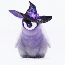 a baby penguin wearing a purple witch hat