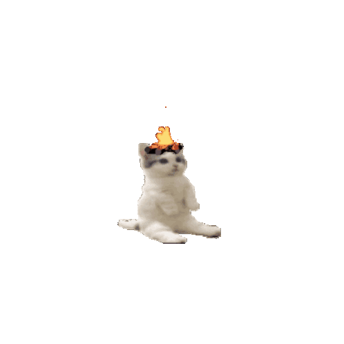 Cat Cat On Fire Sticker - Cat Cat On Fire Fire Cat Stickers