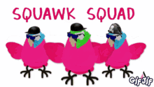 Squawk Squawk Squad GIF - Squawk Squawk Squad Parrot Squad GIFs