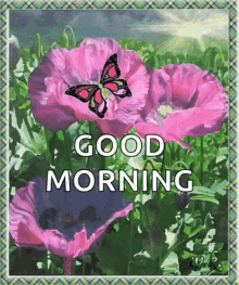 good morning flowers sparkles butterflies