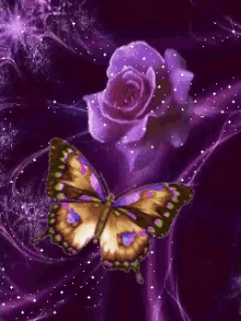Glittering Butterfly GIF - Glittering Butterfly GIFs