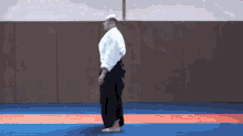 Ls Aikido Aikido Ls GIF - Ls Aikido Aikido Ls Apres2ans De Prepa GIFs