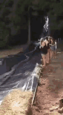 Water Slide Dog GIF - Water Slide Dog Hit GIFs