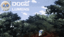 Doge Doge Lumens GIF - Doge Doge Lumens Stellar GIFs