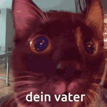 Dein Vater Your Father GIF