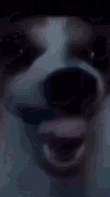 Hexados Dog Laughing Made By Hexados Nerd GIF - Hexados Dog Laughing Made By Hexados Nerd GIFs