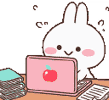 laptop bunny