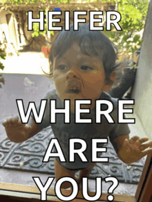 a baby looking out a window with the caption heifer where are you ?