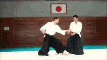 Aikido Iriminage GIF - Aikido Iriminage Irimi GIFs