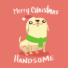 Merry Christmas Handsome Merry Xmas Handsome GIF - Merry Christmas Handsome Merry Xmas Handsome Happy Holidays GIFs