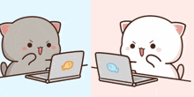 two cartoon cats are sitting in front of laptops with fish on them