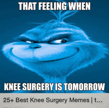 a picture of a grinch with the caption that feeling when knee surgery is tomorrow