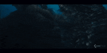 Godzilla Kong GIF - Godzilla Kong Godzila Vs Kong GIFs