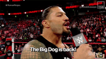 Wwe Roman Reigns GIF - Wwe Roman Reigns The Big Dog Is Back GIFs