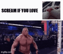 a picture of a man and a picture of a cat with the words scream if you love