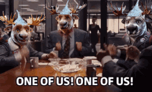 One Of Us X Moose GIF - One Of Us X Moose Tin Foil Hat GIFs