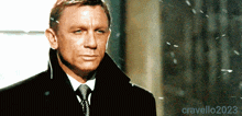 wish i could help daniel craig 007 james bond spectre