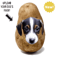 Dog Potato Sticker - Dog Potato Stickers