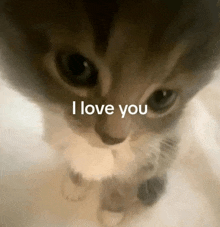 a close up of a cat 's face with the words i love you written below it