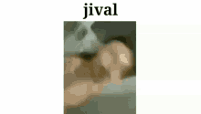 Jival GIF - Jival GIFs