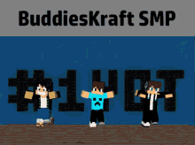 Buddieskraft Minecraft GIF - Buddieskraft Minecraft Smp GIFs