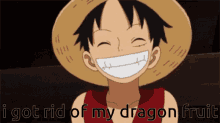 Luffy One Piece GIF - Luffy One Piece Smile GIFs