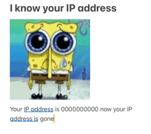 a picture of spongebob with big eyes and the words " i know your ip address " below him