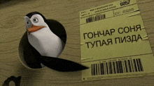 a penguin is standing next to a label that says 6857 on it