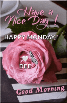 a pink rose with a butterfly on it and the words have a nice day and happy monday
