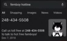a screen shot of a search for femboy hotline on google