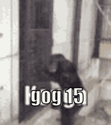 Gog 15 GIF - Gog 15 Gog15 GIFs