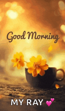 a cup of coffee with yellow flowers in it and the words good morning my ray