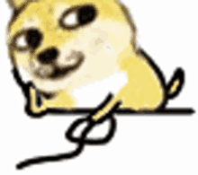 Doge Small Size GIF - Doge Small Size GIFs