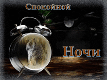 an alarm clock with an owl on it and the words " спокойной ночи "