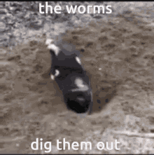 digging dig worms schizo inkspot