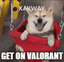 Xayway Valorant GIF - Xayway Valorant GIFs
