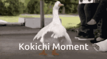 kokichi meme duck kokichi ouma duck dance