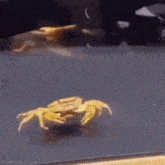Crab Dies GIF - Crab Dies Sad GIFs