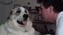 Dog Slap GIF - Dog Slap Animal GIFs
