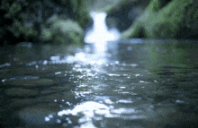 Froeszt Water GIF - Froeszt Water Lake GIFs