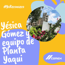 Planta Yaqui Cemex GIF - Planta Yaqui Cemex Yo Reconozco GIFs