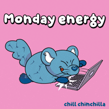 a cartoon illustration of a chinchilla using a laptop with the words monday energy chill chinchilla