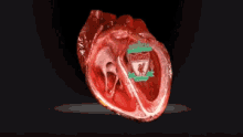 Liverpool Heartbeat GIF - Liverpool Heartbeat Pump GIFs