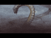 a drawing of a snake with a long neck and a long tail