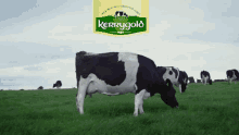 Kerrygold Cow GIF - Kerrygold Cow Green GIFs