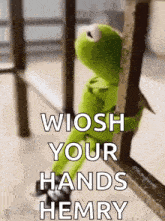 kermit the frog is sitting on a railing holding onto a railing and saying `` wioosh your hands hemry '' .