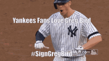 Greg Bird Yankees Fans GIF - Greg Bird Yankees Fans GIFs