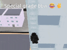 a cartoon drawing of a person with the words special grade btw below them