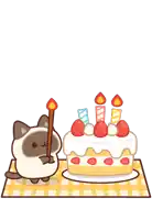 a cat is holding a lit candle next to a birthday cake