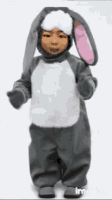 Bunny Dancing GIF - Bunny Dancing Costume GIFs